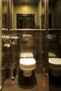 Interior of a modern toilette