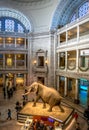 Interior of The National Natural History Museum of the Smithsonian Institution - Washington, D.C., USA Royalty Free Stock Photo