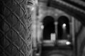 Interior of the Natural History Museum in Exhibition Road, South Kensington. It was built of terracotta in Romanesque style.