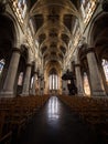 Interior nave of brabantine gothic roman catholic cathedral church of our blessed lady of the sablon Brussels Belgium