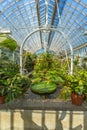 Interior of an old greenhouse Royalty Free Stock Photo