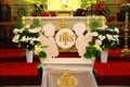 The interior of the Church of the Exaltation of the Holy Cross in GorzÃÂ³w Wlkp.