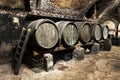 Interior of an old wine cellar Royalty Free Stock Photo