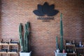 The interior with orange brick walls in Lae Bua Uttaradit shop, planted a beautiful cantus plant in pots.