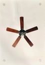 Hanging fan-shaped interior ornaments