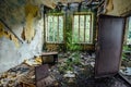 Interior of overgrown room of abandoned and forsaken apartment house