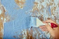 Paint brush in hand of construction worker, house painter applies brush strokes with gray paint to chipboard wall. Royalty Free Stock Photo