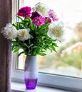 Interior photo close-up of white and pink peony flowers in a vase on a windowsill Royalty Free Stock Photo