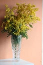 Interior photography. The image of a bouquet of flowers in a crystal vase against the background of an orange wall Royalty Free Stock Photo