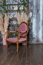 Interior of living room with pink armchair standing on wooden floor.Stylish pink armchairs and pampas grass in a vase Royalty Free Stock Photo