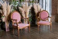 Interior of living room with pink armchair standing on wooden floor.Stylish pink armchairs and pampas grass in a vase Royalty Free Stock Photo