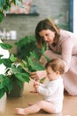 portrait of adorable baby playing with green potted plant