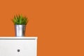 Interior.pot with decorative grass standing on the dresser against the background of the orange wall