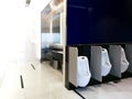 Interior of public clean toilet in shared toilet there is a wide selection of sinks with mirrors Royalty Free Stock Photo