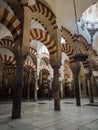 Interior red white striped architecture of Mezquita islamic mosque catholic church Cathedral Cordoba Andalusia Spain Royalty Free Stock Photo