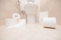 Interior of restroom with toilet bowl and rolls of toilet paper