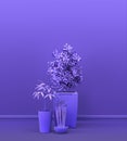 Interior room in plain monochrome violet color with group of decorative house plants, for copy space and poster frame backgrounds Royalty Free Stock Photo