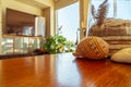 Interior room with window allowing daylight to back-light interior and lush green potted plants