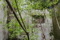 Interior of ruined house invaded by wild plants