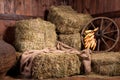 Interior of a rural farm - hay, wheel, corn.