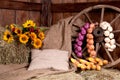 Interior of a rural farm - hay, wheel, garlic, onions, sunflower Royalty Free Stock Photo