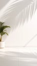 Interior scene with palm leaf shadows cast on a white wall and tiled floor Royalty Free Stock Photo