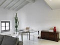 Interior shot of a modern living room in the attic room