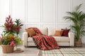 Interior with sofa, plants, and plaid on white wall Royalty Free Stock Photo