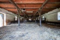 Interior of stable in horse breeding. Clean hay lying down on the floor. Drinker and stalls for horses in the background. Wide Royalty Free Stock Photo