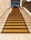 Interior stairs with golden yellow carpet Royalty Free Stock Photo