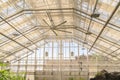 Interior structure of a greenhouse with glass panels on the roof and walls