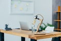 interior of stylish modern office Royalty Free Stock Photo