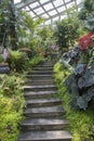 Interior of Tan Hoon Siang Mist House at National Orchid Garden, Singapore