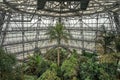 The interior of the tropical plants greenhouse of the botanical garden. Botanical garden named after Hryshka, Kyiv, Ukraine