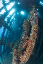 Interior of an underwater shipwreck Royalty Free Stock Photo