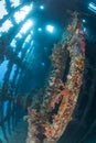 Interior of an underwater shipwreck