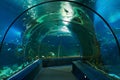 Interior of an underwater tunnel in the aquarium