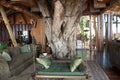 Unique interior of Ngorongoro Crater Lodge, Tanzania, Africa. Tree inside a room with swing on a branch. Ecological concept. Royalty Free Stock Photo