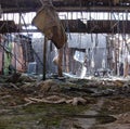 Interior of a vandalized abandoned structure Royalty Free Stock Photo