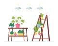 Interior with various indoor plants on the shelves, tables. Vector textured illustration of home interior, urban garden