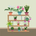Interior with various potted plants on the shelves. Flat design. Vector illustration