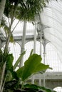 Interior Victorian greenhouse Royalty Free Stock Photo