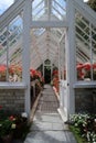 Interior of a Victorian style garden greenhouse. Royalty Free Stock Photo