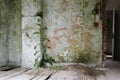 Interior view of an abandoned mansion, San Francisco Castle Royalty Free Stock Photo