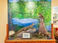 Interior view of the Beavers Bend Nature Center in Beavers Bend State Park Royalty Free Stock Photo