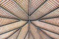 Interior view of the construction of a rafter and purlins roof Royalty Free Stock Photo