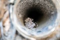 Interior view of dryer vent line with lint and dust buildup Royalty Free Stock Photo