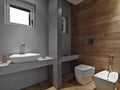 Interior view of a modern bathroom Royalty Free Stock Photo