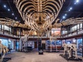 Interior view of the Museum of Osteology