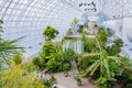 Interior view of the Myriad Botanical Gardens